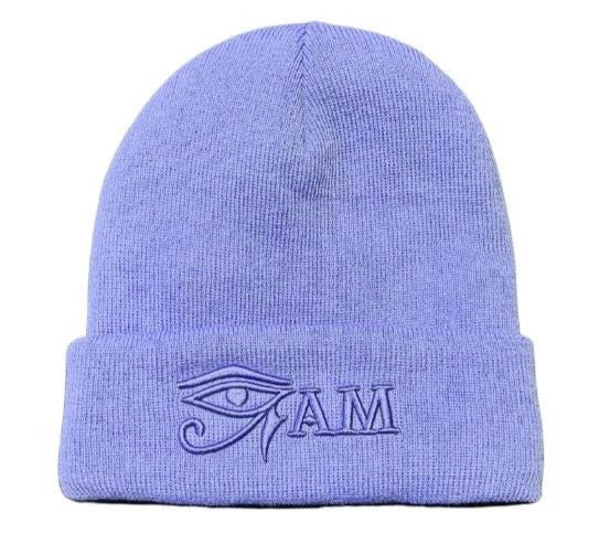 Clearance (Final Sale): Light Blue Beanie Eye Am Embroidered (with Satin Interior)
